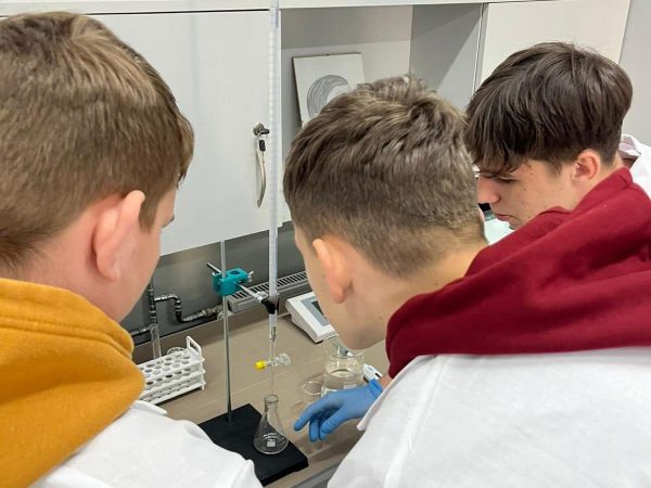 Warsztaty edukacyjne dla uczniów Szkoły Podstawowej w Czarncy